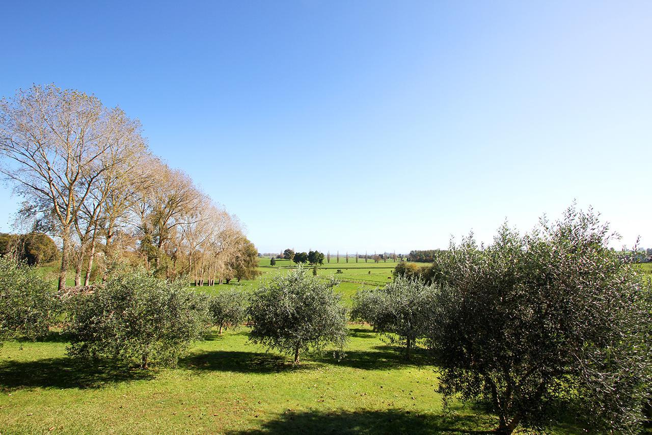 Bed and Breakfast Ohaupo Olives Экстерьер фото